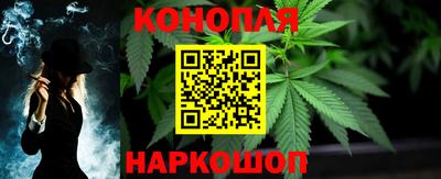 шишки Тулун