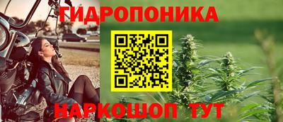 шишки Тулун