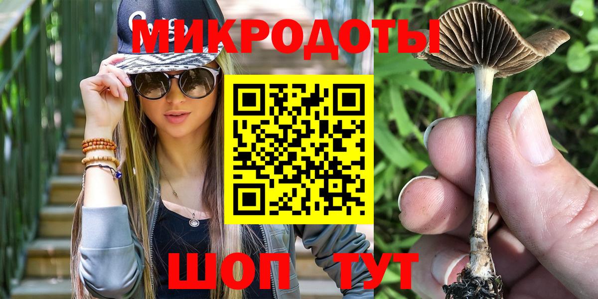 Псилоцибиновые грибы Psilocybe  Вход с VPN  как найти наркотики  Маркс 