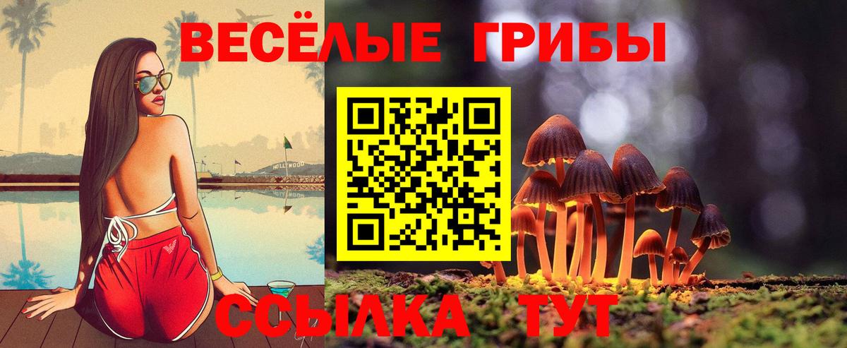 Псилоцибиновые грибы Cubensis Маркс